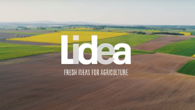 Lidea намерена заместить 75% импортных семян сельхозкультур в России